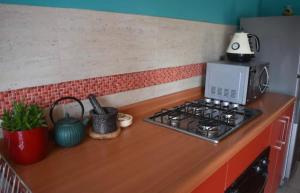 a kitchen counter with a stove and a microwave at Casa Río Calle Calle in Valdivia