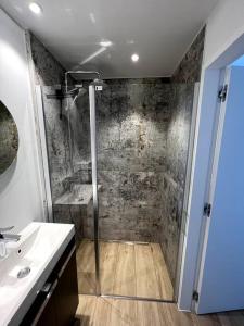 La salle de bains est pourvue d'une douche et d'un lavabo. dans l'établissement suite 16, à Blankenberge