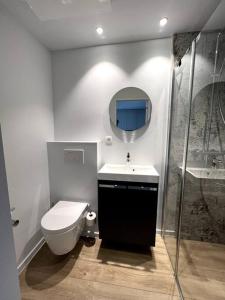 La salle de bains est pourvue de toilettes, d'un lavabo et d'un miroir. dans l'établissement suite 16, à Blankenberge