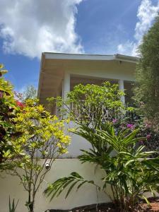 Casa yaan في لاس غاليراس: منزل أمامه بعض النباتات