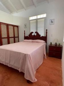 ein Schlafzimmer mit einem großen Bett mit einer rosa Decke in der Unterkunft Casa yaan in Las Galeras