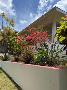 Casa yaan في لاس غاليراس: منزل أمامه زهور ونباتات