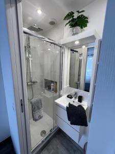 W łazience znajduje się prysznic, umywalka i toaleta. w obiekcie Appart de Luxe tout confort jusqu a 4 personnes w mieście Triel-sur-Seine