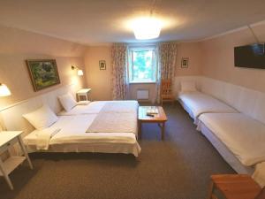 泰爾韋泰的住宿－斯普利迪斯旅館，一间酒店客房,设有两张床和电视