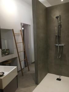 un baño con ducha y lavabo en Ma terrasse sur le musée, en Chambéry