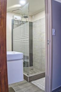 a bathroom with a shower with a sink and a toilet at City Views Spacious Mezzanine Apartments in Willemstad