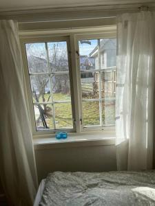 um quarto com uma cama e uma janela com cortinas brancas em Apartament with access to garden, central, quiet and with free parking em Fredrikstad