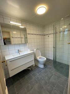 y baño con aseo, lavabo y ducha. en Apartament with access to garden, central, quiet and with free parking, en Fredrikstad