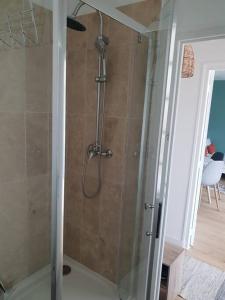 a shower with a glass door in a bathroom at Le Cosy du Faux Bourg in Châlons-sur-Marne