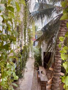 a greenhouse with a table and a palm tree at Anana Coliving in Playa del Carmen