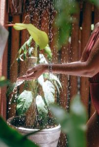 a woman watering a plant in a pot at Pousada Pipa Soul in Pipa