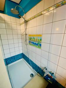 a bathroom with a shower and a tub with a toilet at The Séroule Park House in Verviers