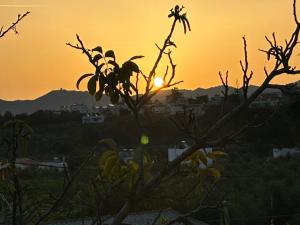 Gallery image of Helen Sweet Home in Kounoupidhianá