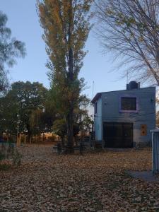 un edificio con un árbol delante de él en CABAÑAS APHELES en Tupungato