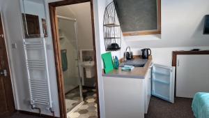 eine kleine Küche mit einer Spüle und einer Theke in der Unterkunft Chezzas in Poole