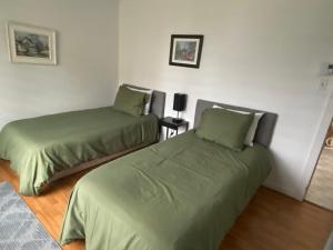 duas camas num quarto com lençóis verdes em Maison d edouard em Saint-Antonin