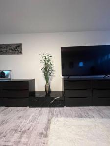 een woonkamer met een flatscreen-tv en een plant bij Modernes Apartment mit 75qm mit Balkon & Aussicht in Aken