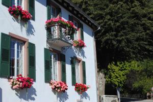 een wit gebouw met groene ramen en bloembakken bij La Vieille Eglise in Le Hohwald