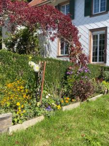 a garden in front of a house with flowers at La Vieille Eglise in Le Hohwald
