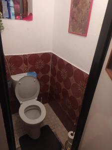 een badkamer met een wit toilet in een kamer bij U Pintovky in Tábor