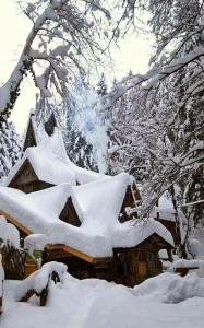 a house covered in snow next to a tree at Holiday Park Zelenkovac in Podrašnica