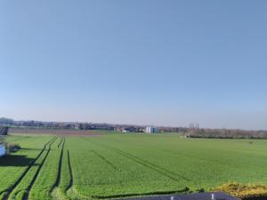 a large green field with tracks in the grass at Ferienwohnung Zülpich Seenähe in Zülpich
