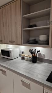 Kuchyň nebo kuchyňský kout v ubytování Luxury Apartment Birmingham + 15 fotografií