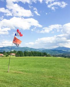 a kite is flying in a field of grass at Easy Camping in Spielberg