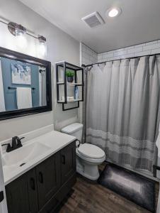 een badkamer met een wastafel, een toilet en een douche bij Hillside Hangout 3Bd/2Ba, Elevated Deck Sunsets in Pinetop-Lakeside