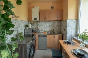 Kuchnia lub aneks kuchenny w obiekcie Apartament Premium Salt