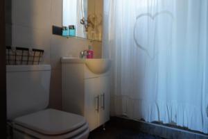 ein Badezimmer mit einem WC, einem Waschbecken und einem Duschvorhang in der Unterkunft Loft Lomas Del Suquia in Cordoba