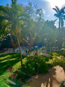 Zahrada ubytování Hotel Plaza Caribe