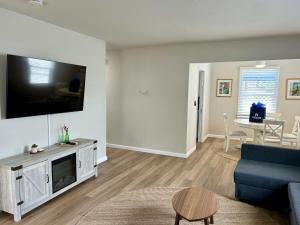 聖地牙哥的住宿－The Hangout Spot，客厅配有蓝色的沙发和电视