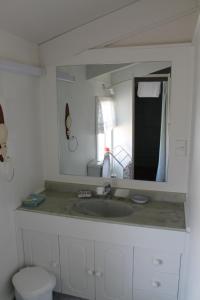 a bathroom with a sink and a mirror at Brockies B n B in Rawene