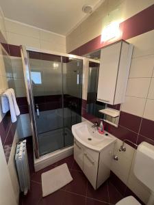 een badkamer met wastafel en douche bij Holiday apartments Duba Peljeska, Peljesac - 10231 in Trpanj