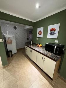 uma cozinha com um balcão, um micro-ondas e um frigorífico em Lindo departamento pleno centro. em San Fernando del Valle de Catamarca