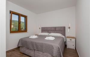 um quarto com uma cama grande e uma janela em Stunning Home In Donji Prolozac With Kitchen em Donji Proložac