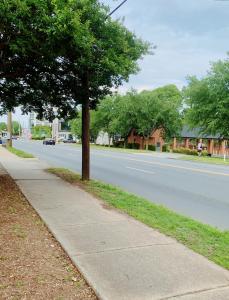 un árbol al lado de una calle con una acera en Uptown area, Cozy king Suite, quiet and private, free parking, walk to restaurants en Charlotte