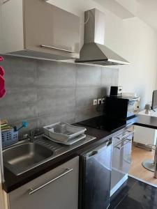 uma cozinha com um lavatório e uma bancada em Studio tropical baie des citrons em Noumea