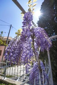 Fotografie z fotogalerie ubytování Skevoulis Studios v destinaci Benitses