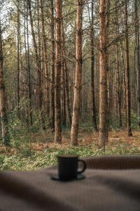 a coffee cup sitting on a table in front of a forest at w lesie in Skrwilno
