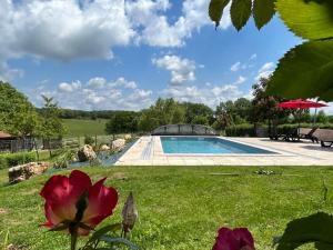 a yard with a swimming pool and a red flower at Demeure du Vallon - Chambres d'Hôtes de Charme in Azerat