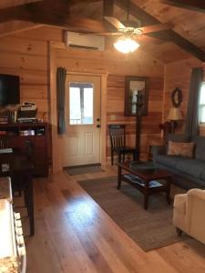 a living room with a couch and a table at Pet Friendly, Peaceful Cabin Near Wineries, in Tryon