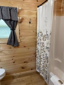 a bathroom with a toilet and a shower curtain at Pet Friendly, Peaceful Cabin Near Wineries, in Tryon