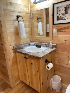 a bathroom with a sink and a mirror at Pet Friendly, Peaceful Cabin Near Wineries, in Tryon