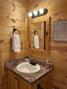 bagno con lavandino e specchio di Pet Friendly, Peaceful Cabin Near Wineries, a Tryon
