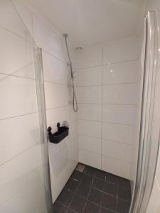 a shower with a glass door in a bathroom at Mariahoeve in Rilland