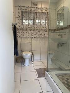 a bathroom with a toilet and a glass shower at Comfrey cottage in Kloof