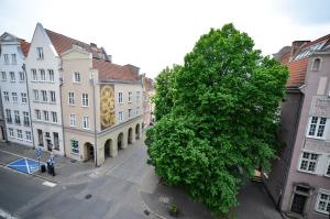 a city street with buildings and a large tree at CITYSTAY Old Town Gdansk Apartment in Gdańsk