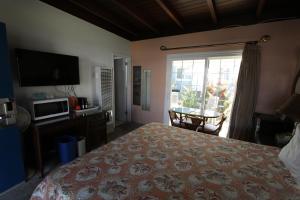 - une chambre avec un lit, une télévision et une fenêtre dans l'établissement Edgewater Beach Inn & Suites, à Santa Cruz
